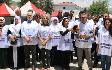Meşvanên Demokrasiyê li Geverê ne