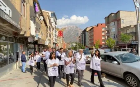 Mêşvan gihişt Colemêrgê