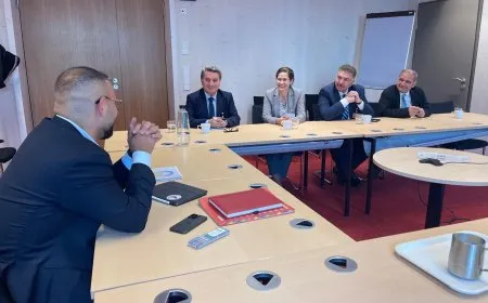 Nûnerên Rêveberiya Xweser û MSD’ê bi parlamenterên Almanyayê re civiyan