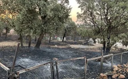 DEM Partî derbarê şewatê de daxuyanî da