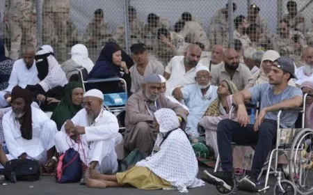Hezar û 301 hecî mirine