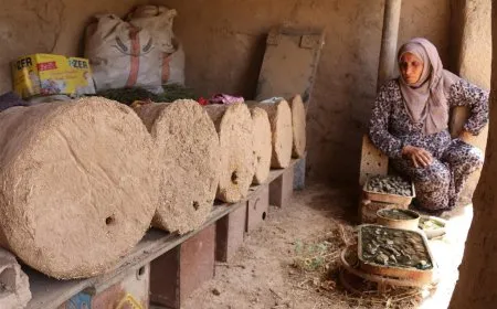 Kewareyan çêdike, mêşan xwedî dike, hingiv belav dike