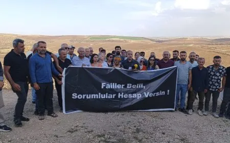 Ekolojîstan serdana herêma şewatê kir: Sedem DEDAŞ e