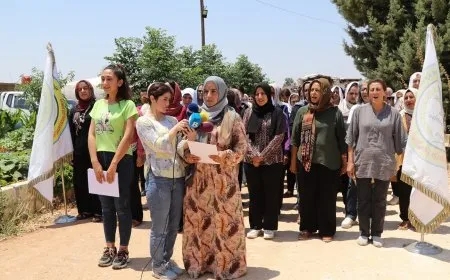 ‘Divê mudaxele li sûcên li herêmên dagirkirî bê kirin’