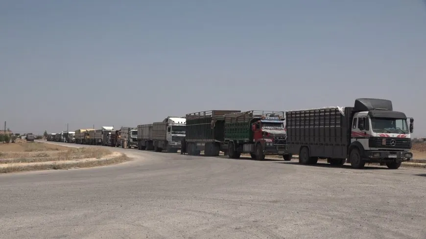 Li Tebqayê wergirtina genim dest pê kir