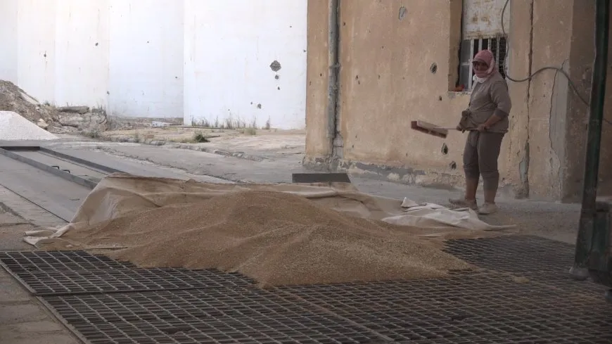 Li Tebqayê wergirtina genim dest pê kir