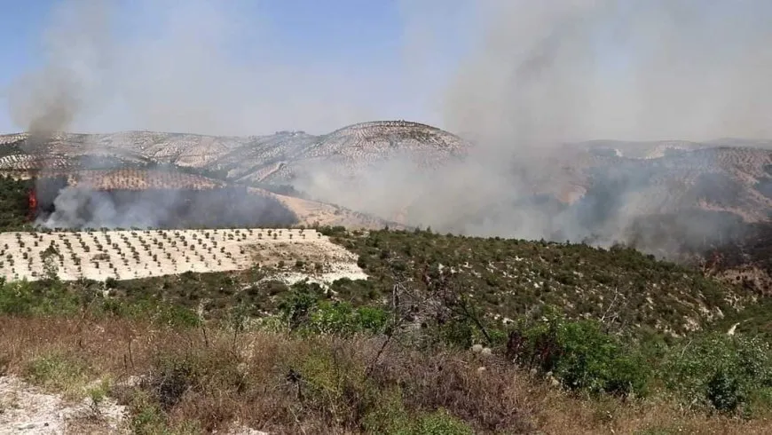 ˊÇeteyan daristanên li Efrînê şewitanindinˊ