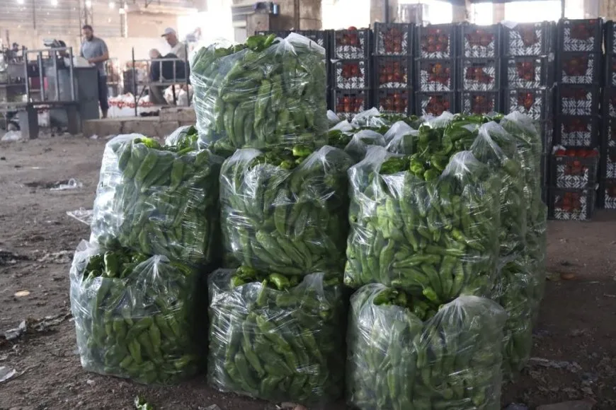 Berhemên xwecih bazar geş kiriye