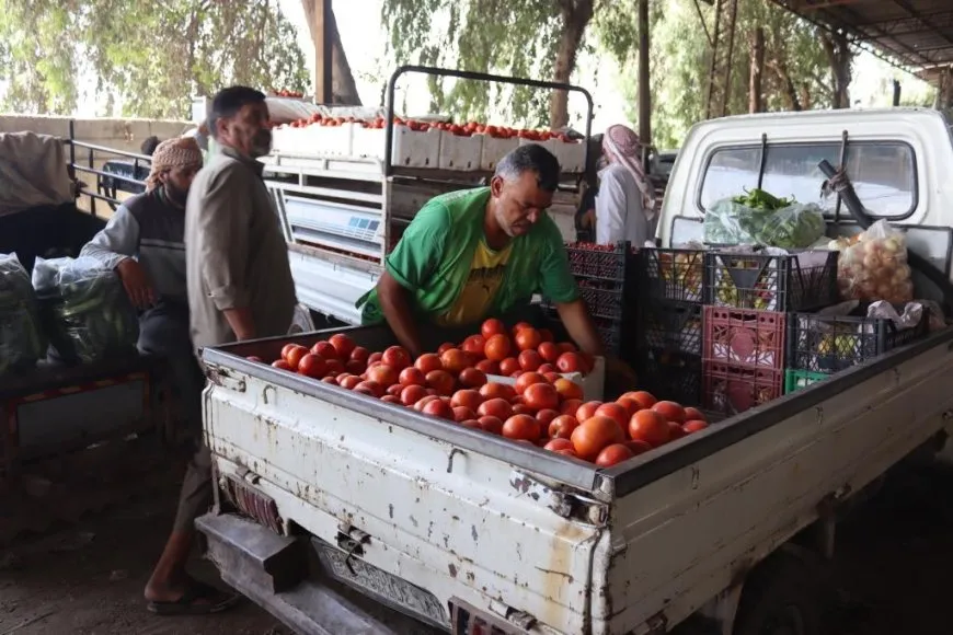Berhemên xwecih bazar geş kiriye