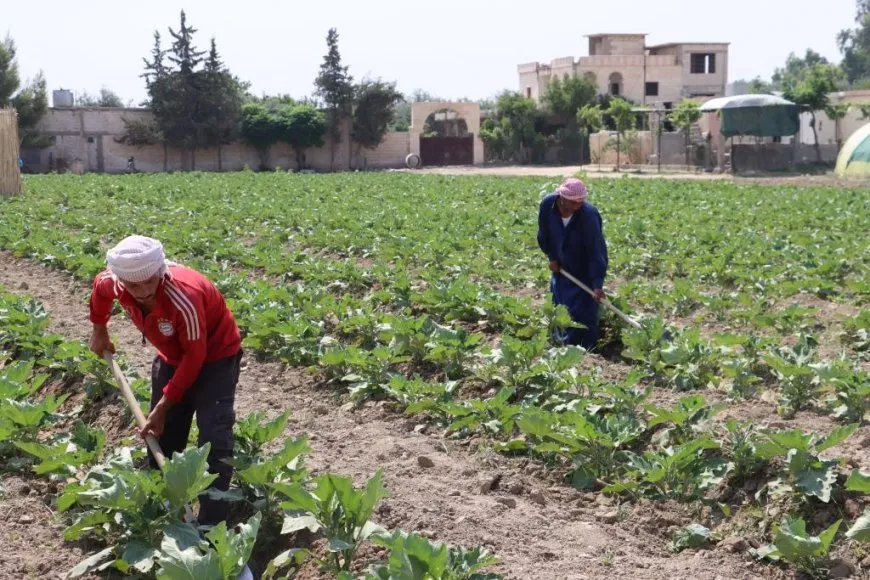 Berhemên xwecih bazar geş kiriye