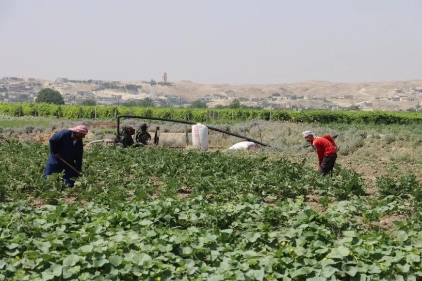 Berhemên xwecih bazar geş kiriye