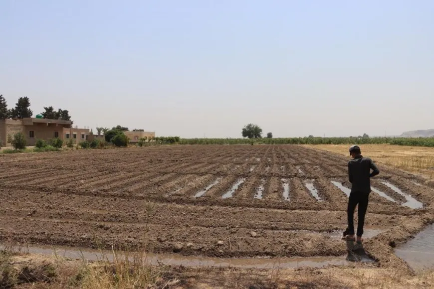 Berhemên xwecih bazar geş kiriye