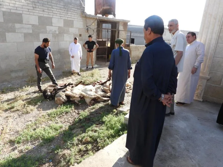Li hezar û 150 malbatî qurban belav kirin