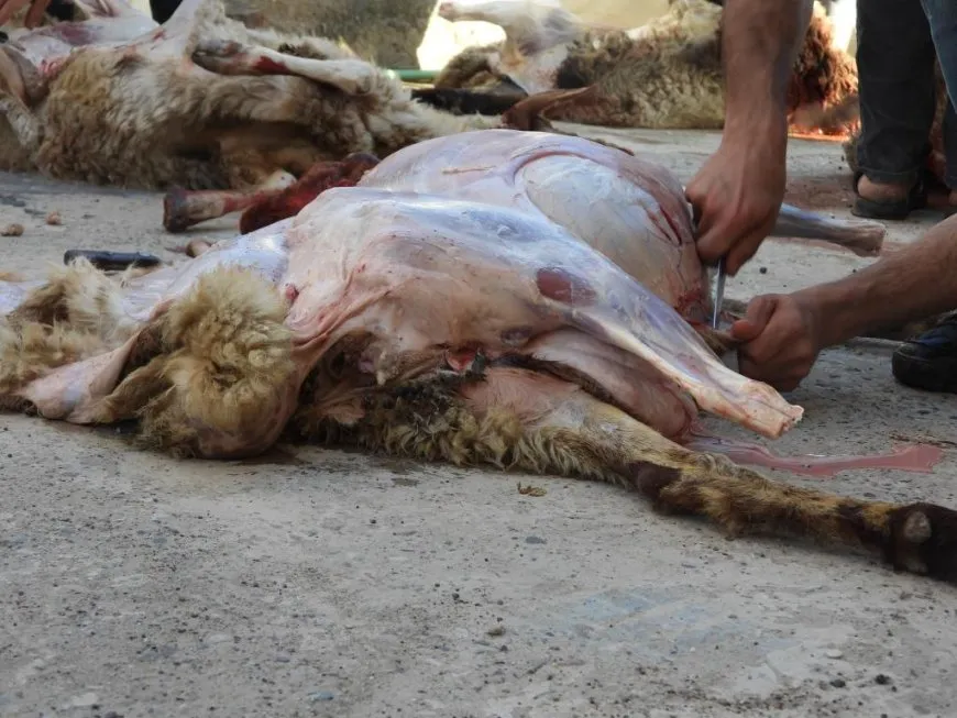 Li hezar û 150 malbatî qurban belav kirin