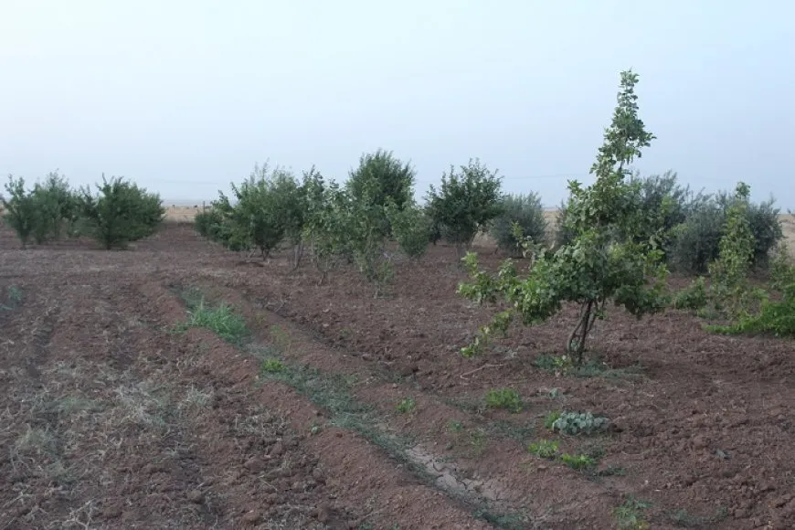Cotkar: Em dikarin herêma xwe bi berheman dewlemend bikin