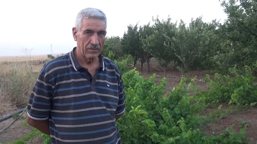 Cotkar: Em dikarin herêma xwe bi berheman dewlemend bikin