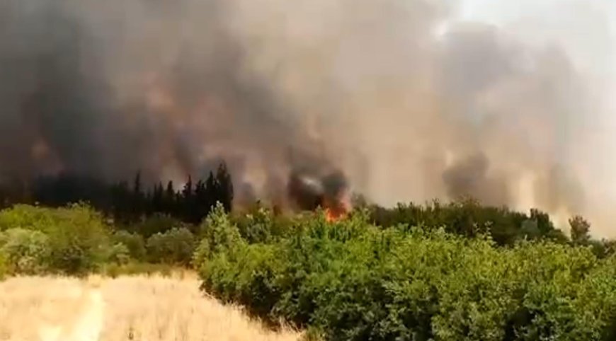 Los campos agrícolas se incendian debido a los ataques de los ocupantes turcos