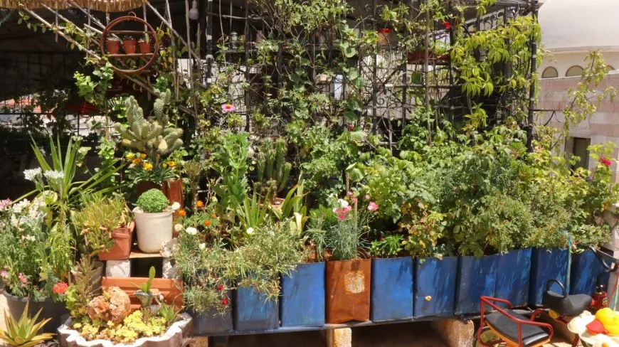 Koçberekî efrînî bi helbestan bêrîkirina welat dihûne