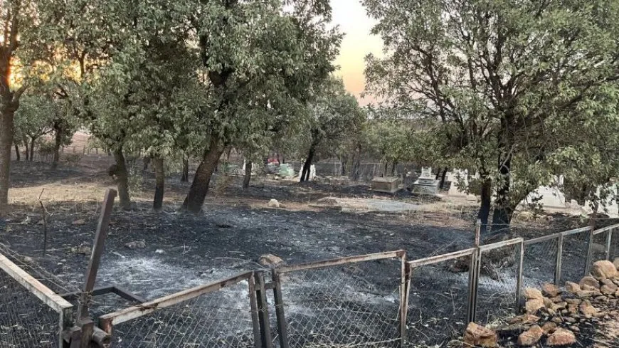 DEM Partî derbarê şewatê de daxuyanî da