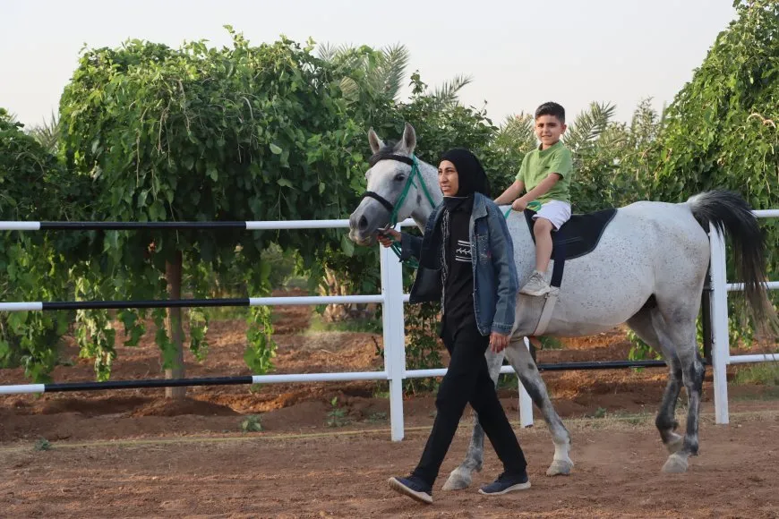 Siwara hespê Erebî 