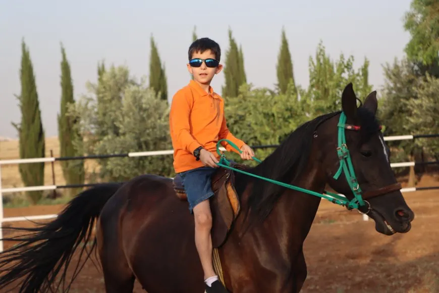 Siwara hespê Erebî 