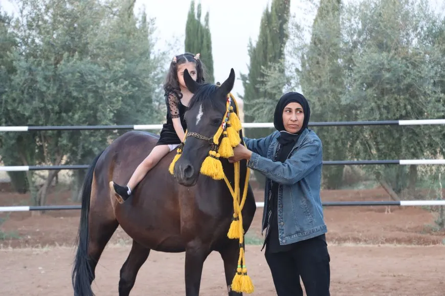 Siwara hespê Erebî 