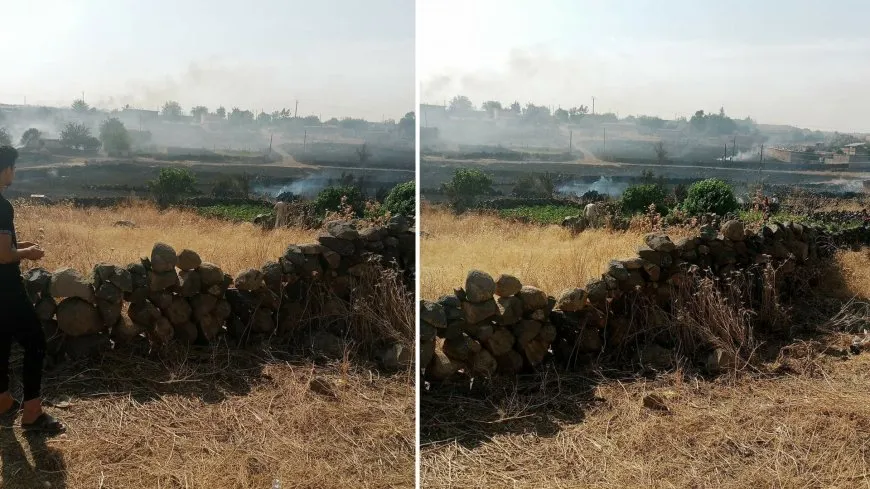 Li Çilaxa agir bi firêzeyê ket: Dar şewitîn