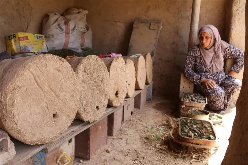 Kewareyan çêdike, mêşan xwedî dike, hingiv belav dike