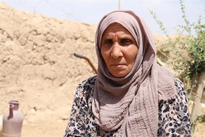 Kewareyan çêdike, mêşan xwedî dike, hingiv belav dike