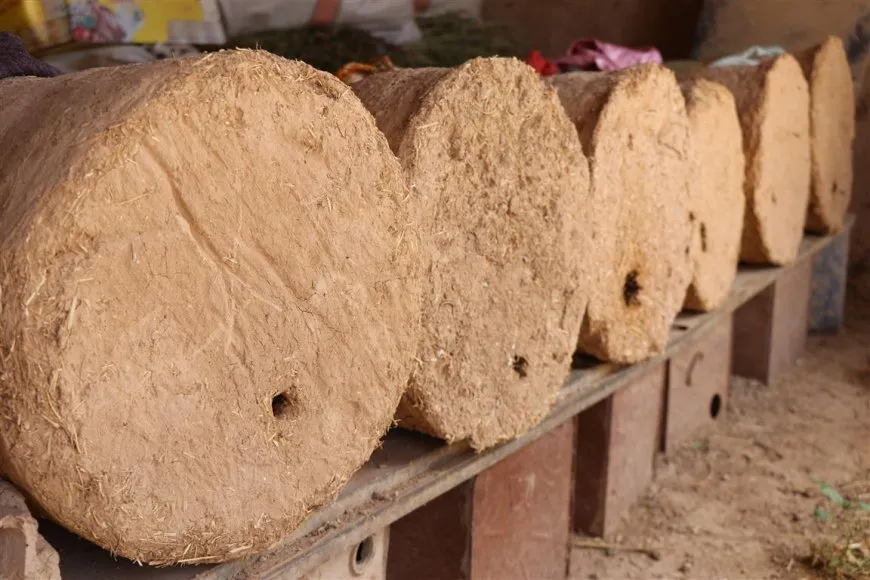 Kewareyan çêdike, mêşan xwedî dike, hingiv belav dike