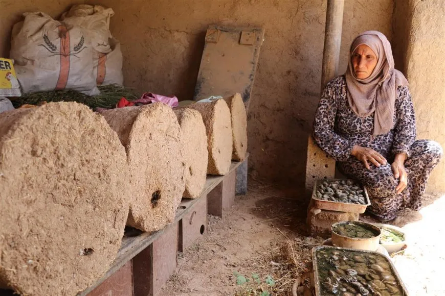 Kewareyan çêdike, mêşan xwedî dike, hingiv belav dike