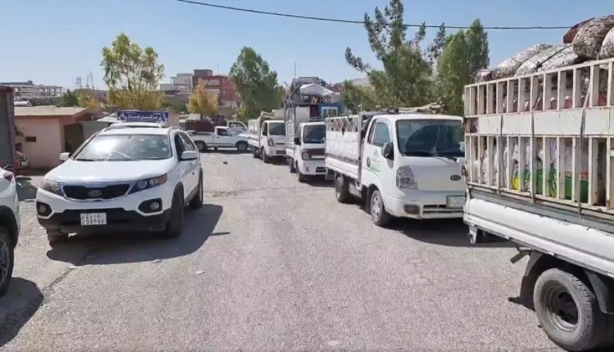 vegera Şengalê berdewame