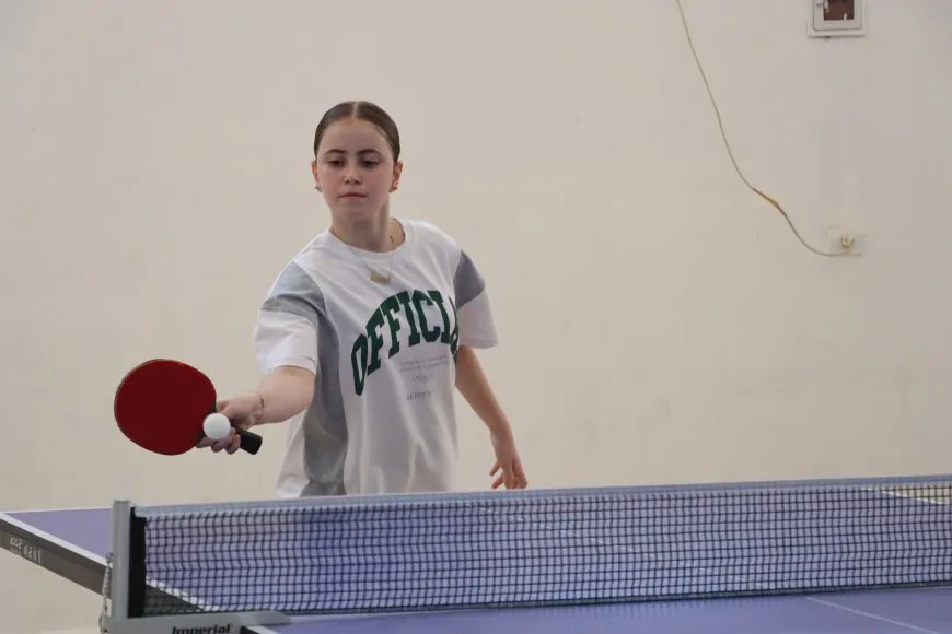 Li Qamişloyê turnuvaya ping pongê 