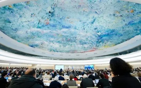 Wê Tecrîda li Îmraliyê li Konseya Mafên Mirovan a NY’ê were nîqaşkirin