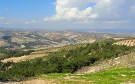 Jinên Efrînê: Heta vegerê em ê li ber xwe bidin