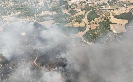 HPG: Dewleta Tirk şêniyên herêmê koçber dike