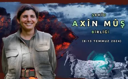 ji gerîlayan 7 çalakî: 3 dagirker hatin cezakirin, 6 jî birîndar bûn
