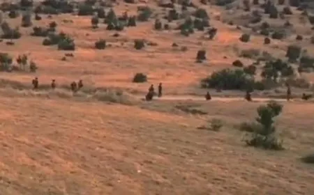 Li Dêrelokê êrişeke nû hat destpêkirin