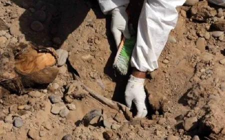 Li Nînowayê gorek komî hate dîtin