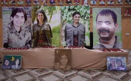 Şehîd Tolhildan, Vejîn, Bîşeng û Sara hetin bibîranîn