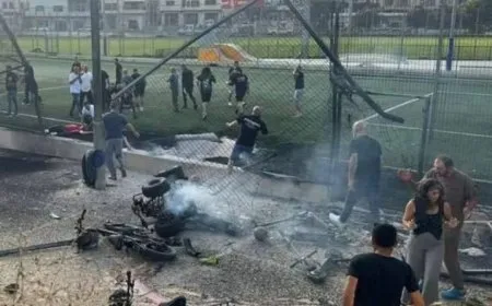 Bi moşekan êriş Colanê hat kirin