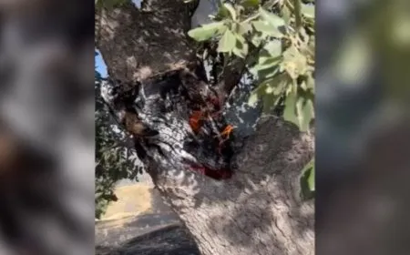 Bombebarana li Başûrê Kurdistanê didomînin