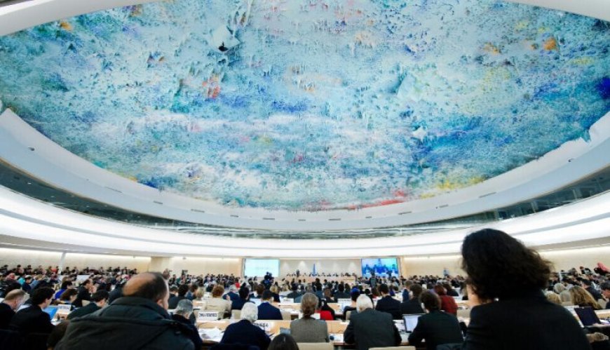 El aislamiento del líder Abdullah Ocalan se discutirá en el Consejo de Derechos Humanos de la ONU