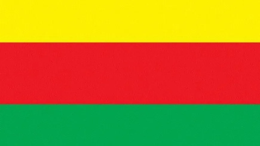 TEV-DEM: Yekitî rêya yekane ya têkbirina planên dagirkeriyê ye