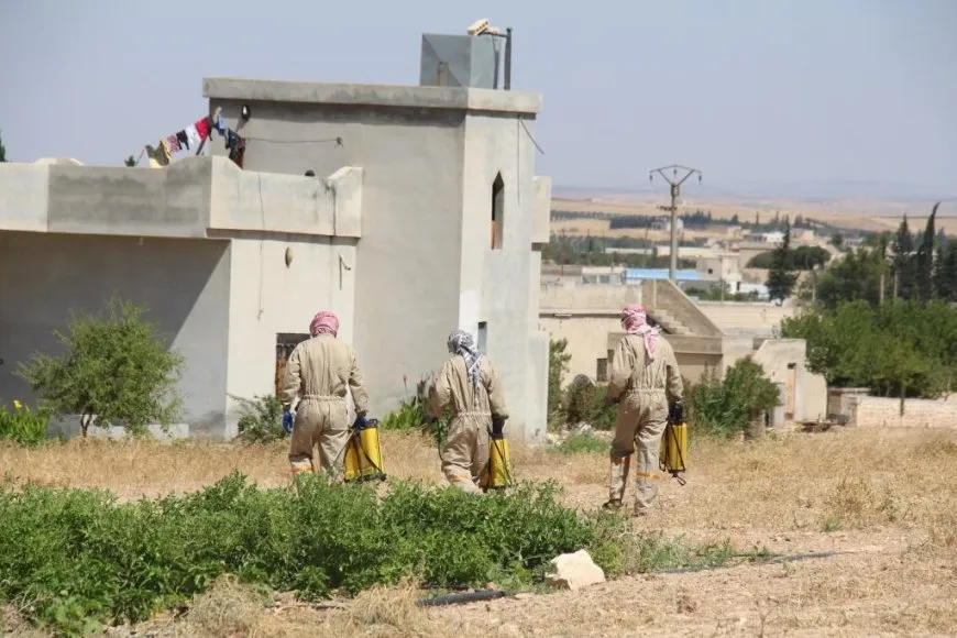 Li Minbicê têkoşîna li dijî laşmanyayê