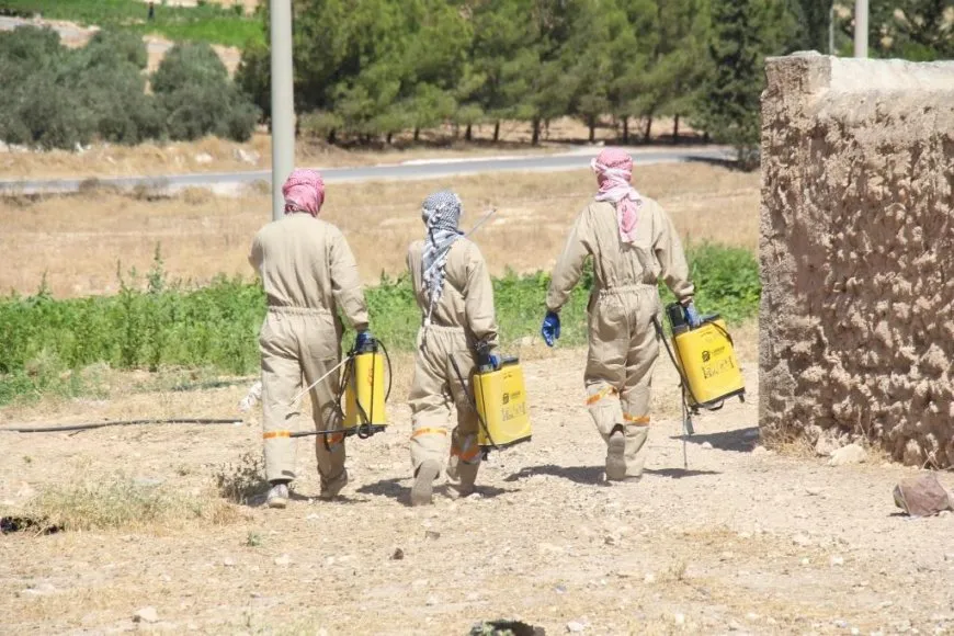 Li Minbicê têkoşîna li dijî laşmanyayê