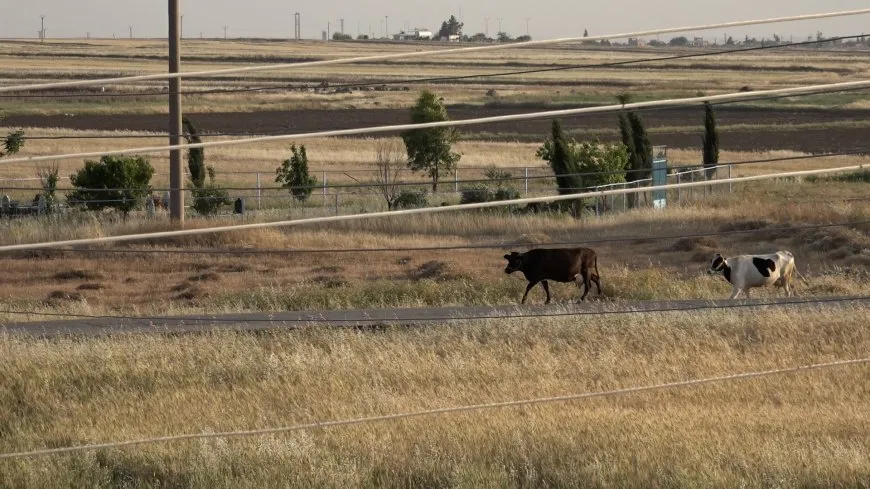 Dîmenên kêferata jiyanê li Tirbespiyê