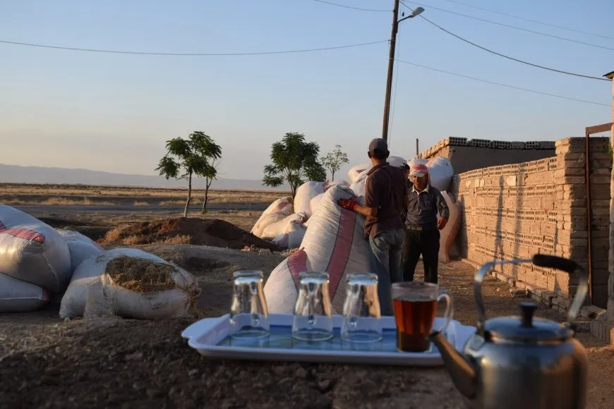 Dîmenên kêferata jiyanê li Tirbespiyê