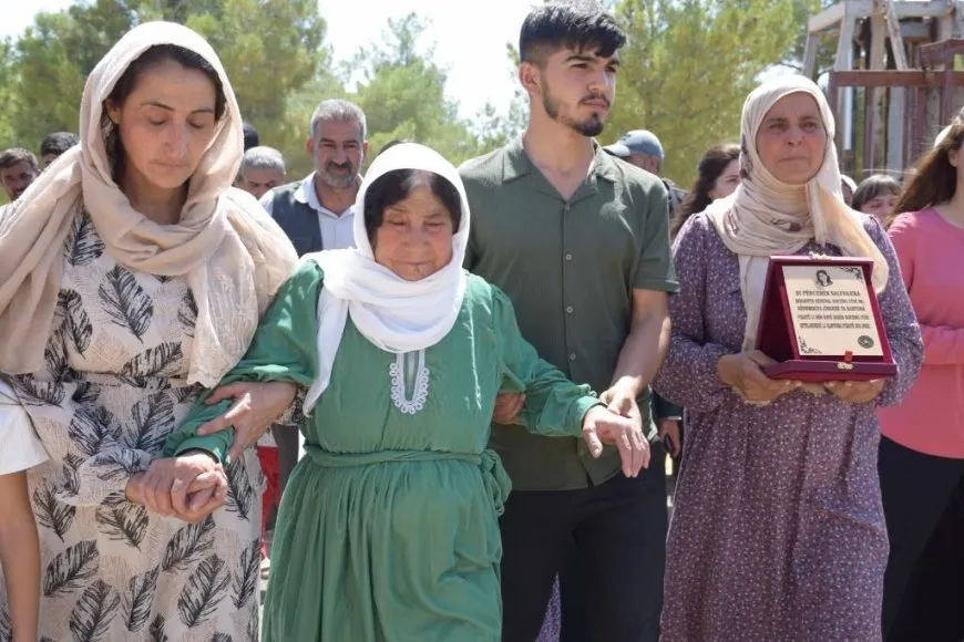 Desteya Jîngehê şitilgehek vekir
