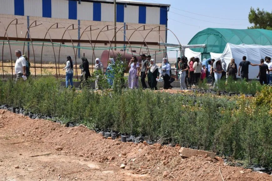 Desteya Jîngehê şitilgehek vekir